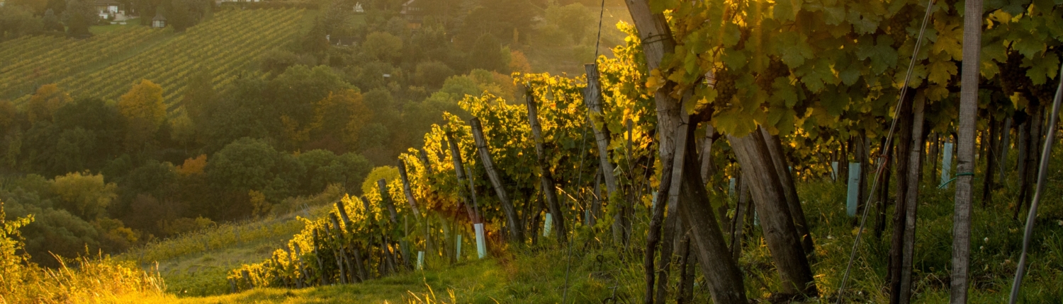 ebit Landschaft ebit Landschaft